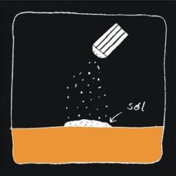 Płyta: Sól