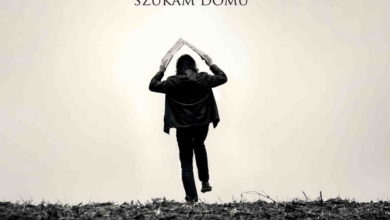 Szukam domu - New Life’m
