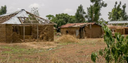 Wieś w Nigerii